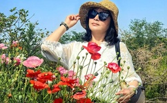 读心神探主题曲